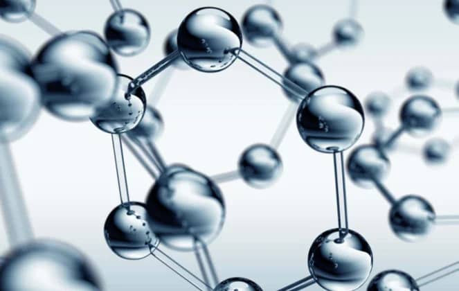Peptide and Protein