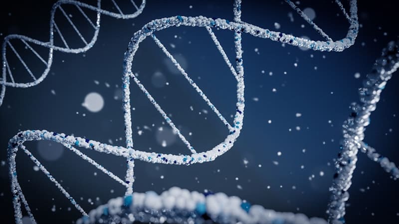 Peptide and Protein